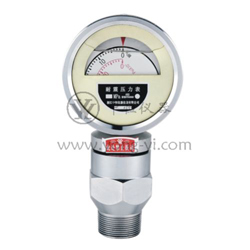 YTN series seismic pressure gauge